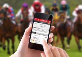 A Guide to Online Horse Betting Wagers