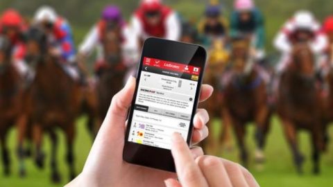 A Guide to Online Horse Betting Wagers