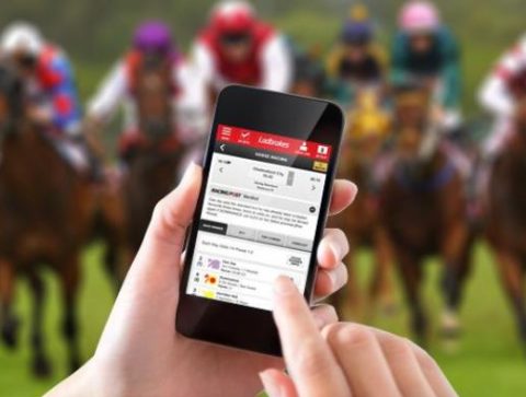 A Guide to Online Horse Betting Wagers