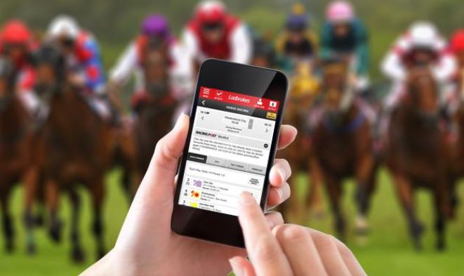 A Guide to Online Horse Betting Wagers